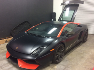 black-gallardo-1