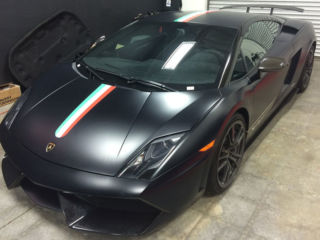 black-gallardo-2