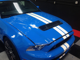 blue-gt500-mustang-1