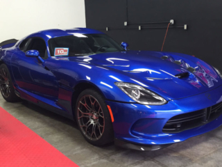 blue-viper-2