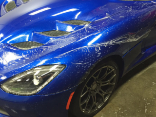 blue-viper-3