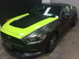 grey-mustang-3
