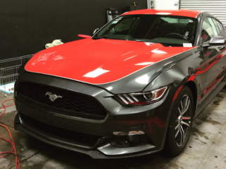 grey-mustang-5