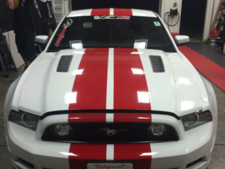 white-mustang-gt-1