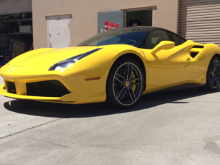 yellow-488-3
