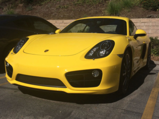 yellow-cayman-1