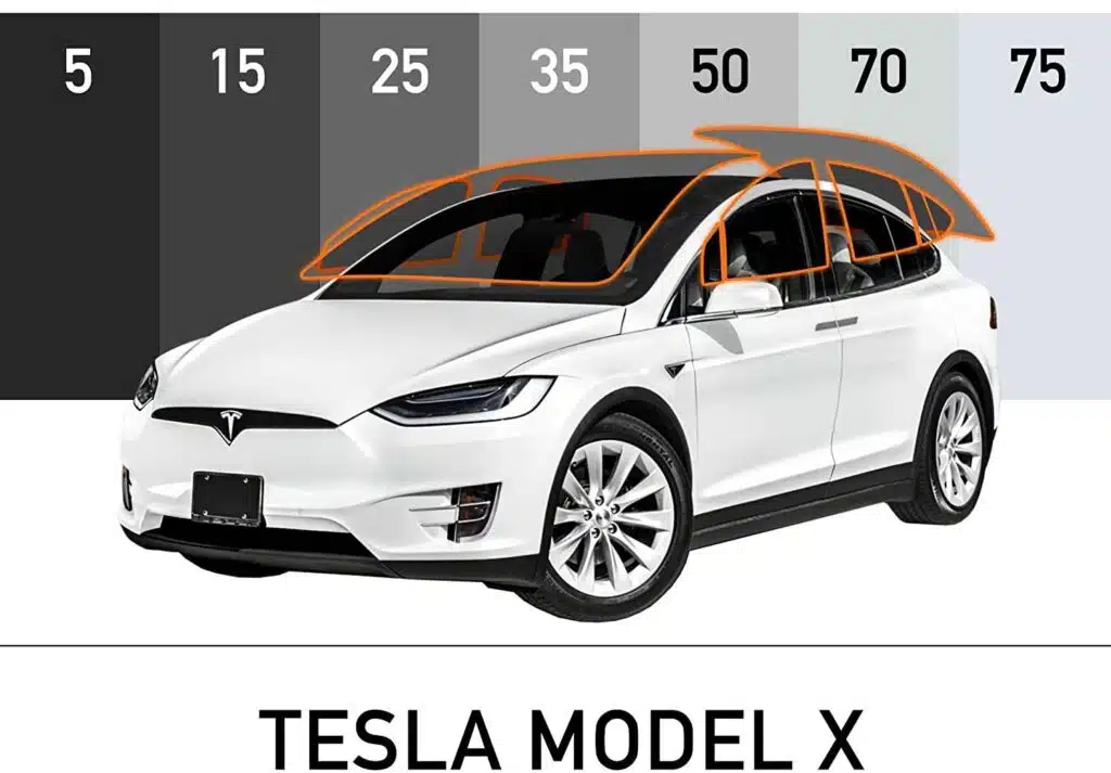 Which tint is best